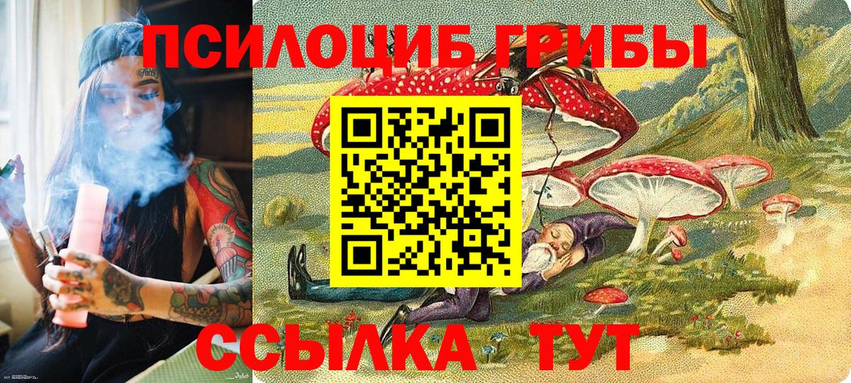 Галлюциногенные грибы Cubensis  купить наркоту  Химки  Вход с VPN  Галлюциногенные грибы Psilocybe 